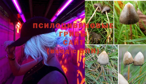 твердый Алзамай