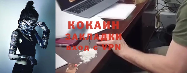 твердый Алзамай