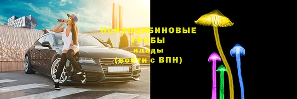 твердый Алзамай