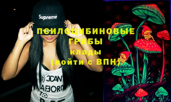 твердый Алзамай