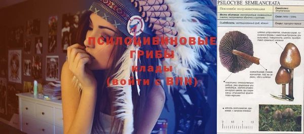 соль курить ск Алексеевка